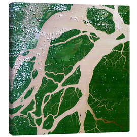 Tableau sur toile Amazon Delta in Brazil - Planetobserver