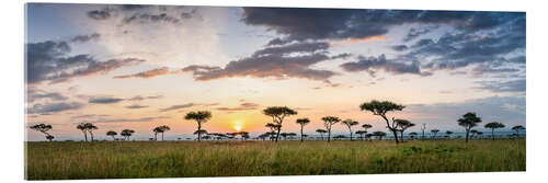 Acrylglas print Sunrise in the savannah of the Maasai Mara