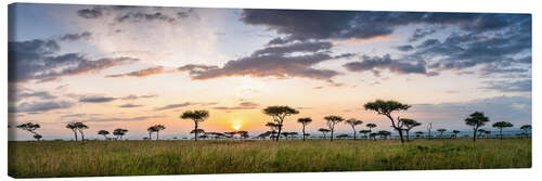 Canvas-taulu Sunrise in the savannah of the Maasai Mara