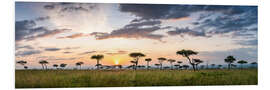 Hartschaumbild Sonnenaufgang in der Savanne der Maasai Mara