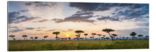 Galleritryk Sunrise in the savannah of the Maasai Mara