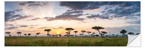 Wandsticker Sonnenaufgang in der Savanne der Maasai Mara