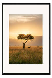 Gerahmter Kunstdruck Akazienbaum bei Sonnenuntergang, Maasai Mara, Kenia