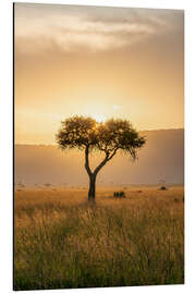 Magnettafel Akazienbaum bei Sonnenuntergang, Maasai Mara, Kenia
