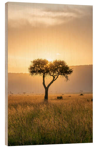 Holzbild Akazienbaum bei Sonnenuntergang, Maasai Mara, Kenia