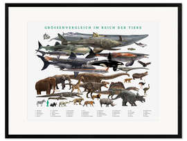 Impression artistique encadrée Size comparison in the animal kingdom (German)