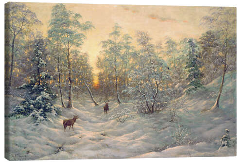 Obraz na płótnie Deer in a snowy landscape at dusk