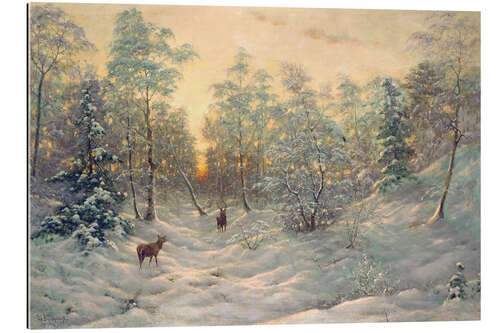 Cuadro de plexi-alu Deer in a snowy landscape at dusk