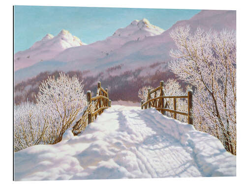 Quadro em plexi-alumínio Silver Frost in Engadine