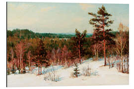 Tableau en aluminium Winter, view over the forest