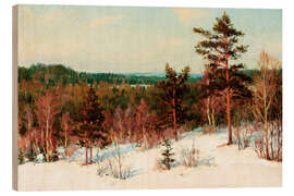 Obraz na drewnie Winter, view over the forest