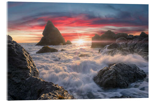 Acrylglas print Luffenholtz Beach