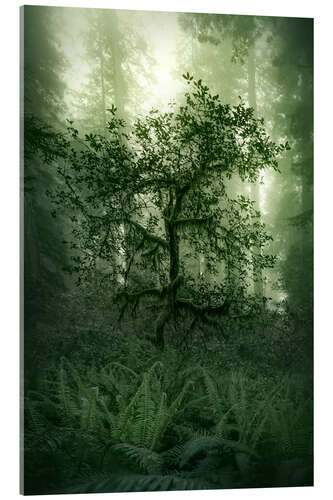 Acrylic print Damnation