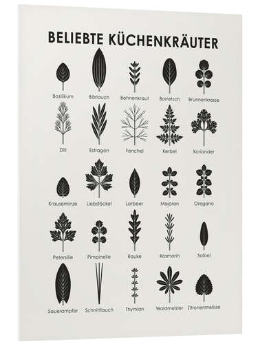 Foam board print Favored Culinary Herbs (German)