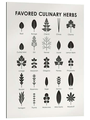 Gallery print Favored Culinary Herbs