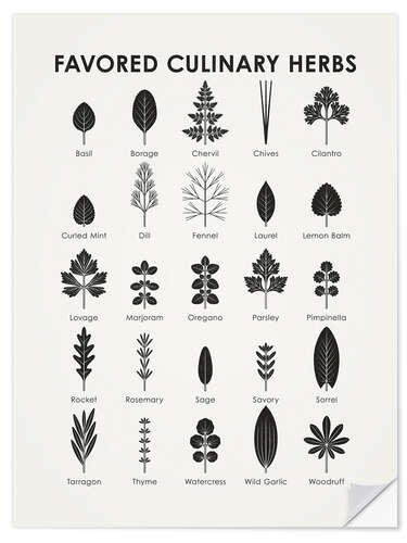 Selvklebende plakat Favored Culinary Herbs