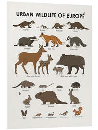 Foam board print Urban Wildlife of Europe