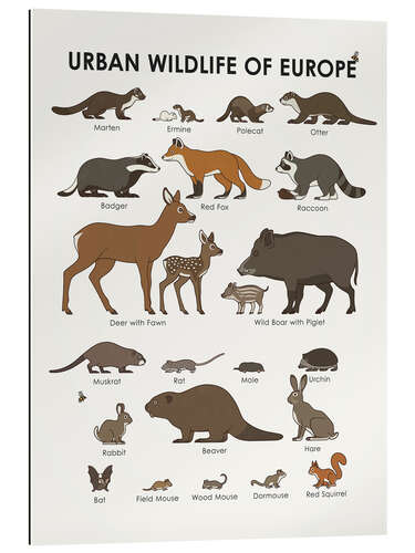 Gallery print Urban Wildlife of Europe