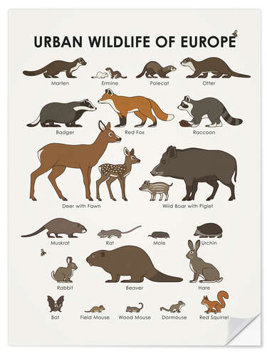 Selvklebende plakat Urban Wildlife of Europe