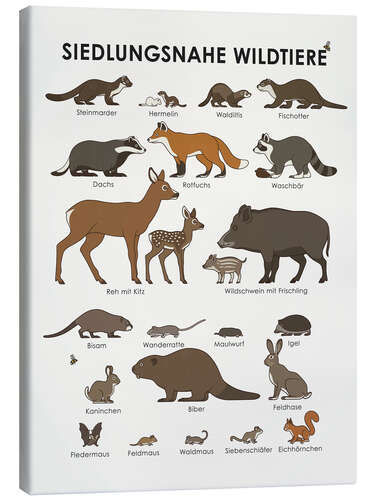 Canvas print Residential wild animals (German)