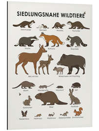 Magnettafel Siedlungsnahe Wildtiere