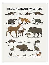 Póster  Residential wild animals (German) - Iris Luckhaus