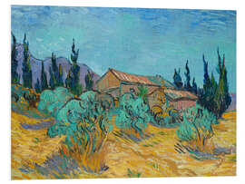 Foam board print Wooden huts among olive trees and cypresses