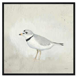 Gerahmter Kunstdruck Kleiner Seevogel