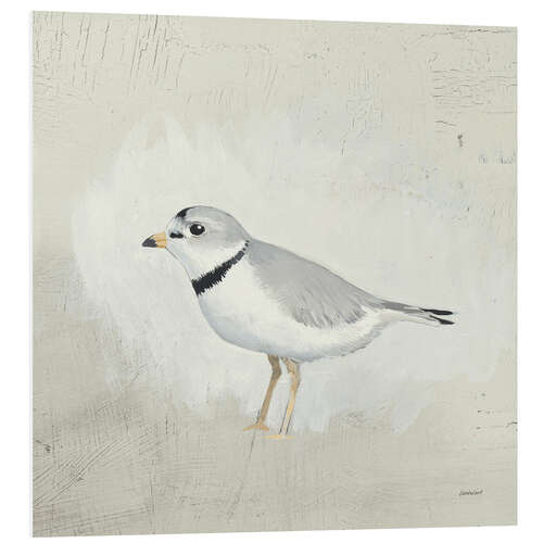 Foam board print Little Sea Bird