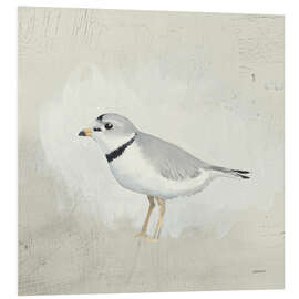 Foam board print Little Sea Bird