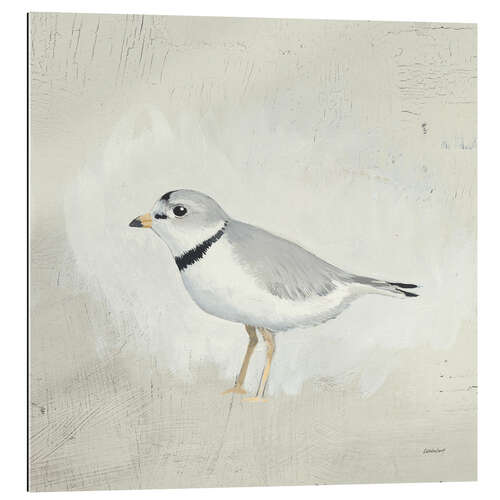 Quadro em plexi-alumínio Little Sea Bird