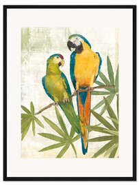 Gerahmter Kunstdruck Gesellige Papageien
