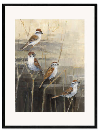 Innrammet kunsttrykk Sparrows - The calm in the evening