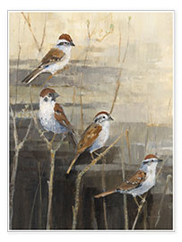 Poster Sparrows - The calm in the evening