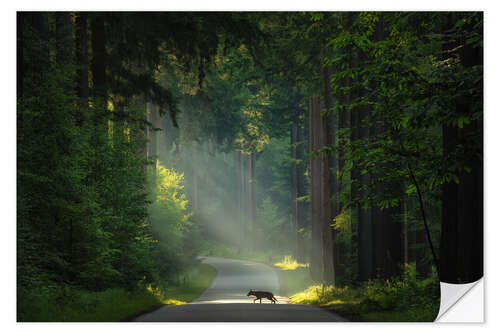 Wall sticker The wolf in the Netherlands