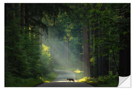 Muursticker The wolf in the Netherlands
