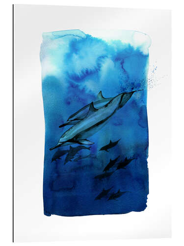 Gallery print Shoal of dolphins under water