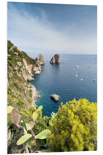 Foam board print Faraglioni Felsen an der Küste von Capri