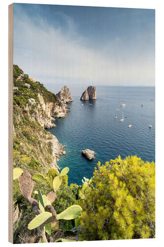 Holzbild Faraglioni Felsen an der Küste von Capri