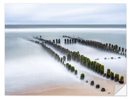 Naklejka na ścianę Groyne on the beach of Rantum on Sylt