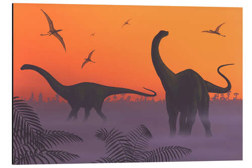 Aluminium print Apatosaurs in the sunset