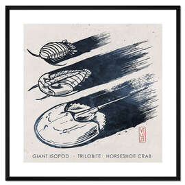 Gerahmter Kunstdruck Meeresarthropoden