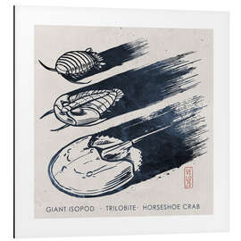 Magnettafel Meeresarthropoden