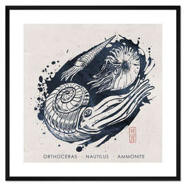 Gerahmter Kunstdruck Kopffüssler