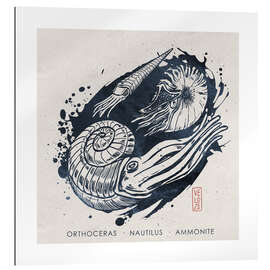 Gallery print Cephalopods