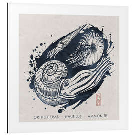 Magnettafel Kopffüssler