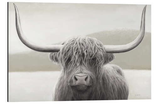 Aluminium print Shaggy Highland Cattle