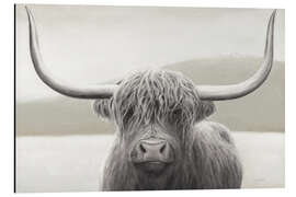 Tableau en aluminium Shaggy Highland Cattle