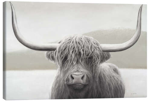 Quadro em tela Shaggy Highland Cattle