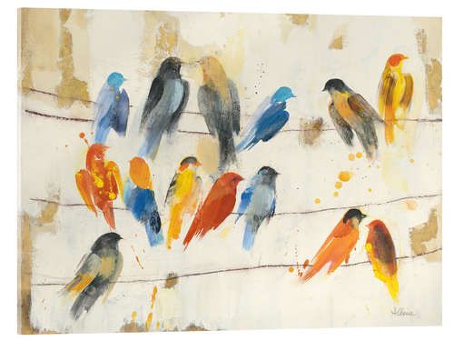 Acrylic print Pretty Coluorful Birds On a Leash